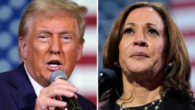 Un dernier sondage donne 51% des voix à Kamala Harris contre 47% à Donald Trump